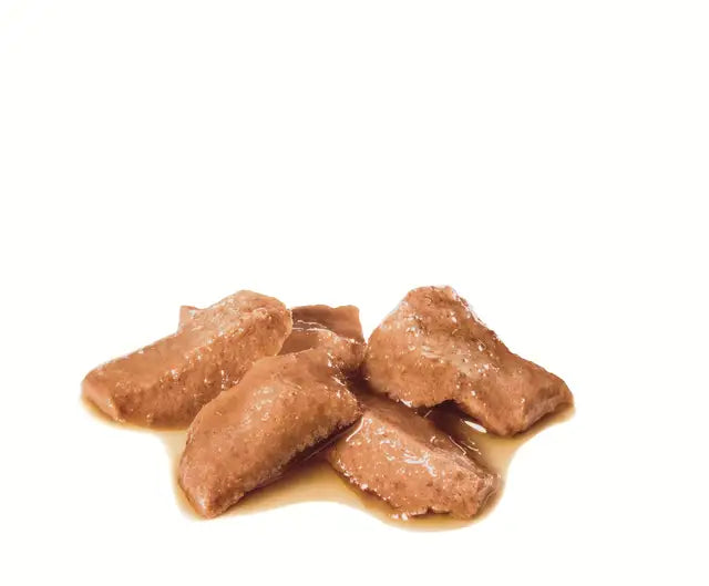 ROYAL CANIN Maine Coon Gravy Wet Cat Food Pouches display