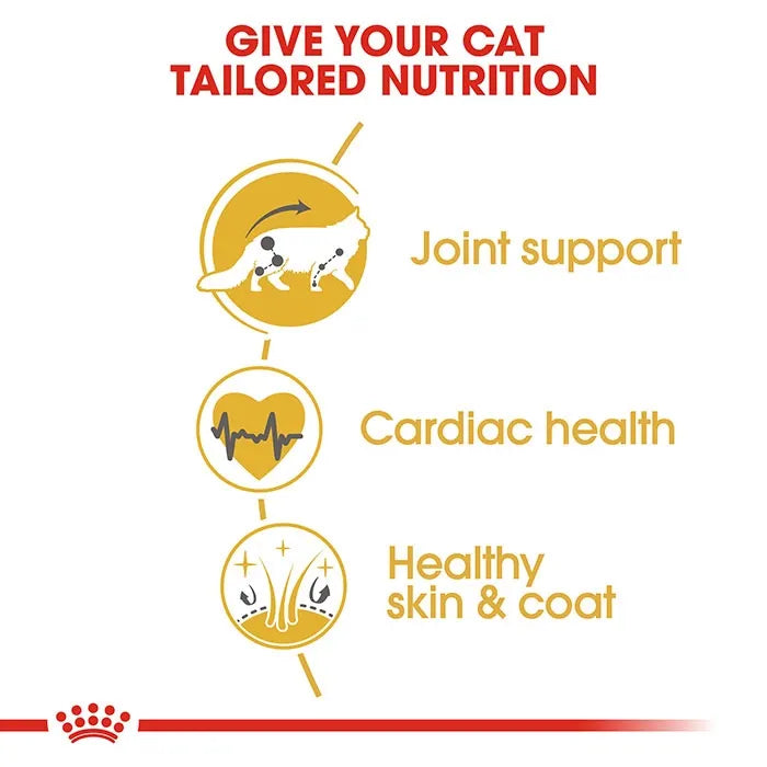 ROYAL CANIN MaineCoon Adult Dry Cat Food features