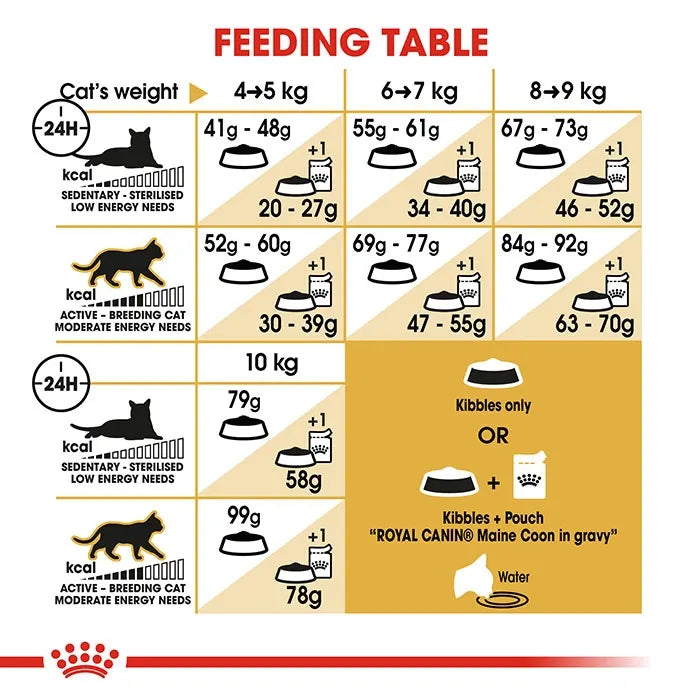 ROYAL CANIN MaineCoon Adult Dry Cat Food feeding guide