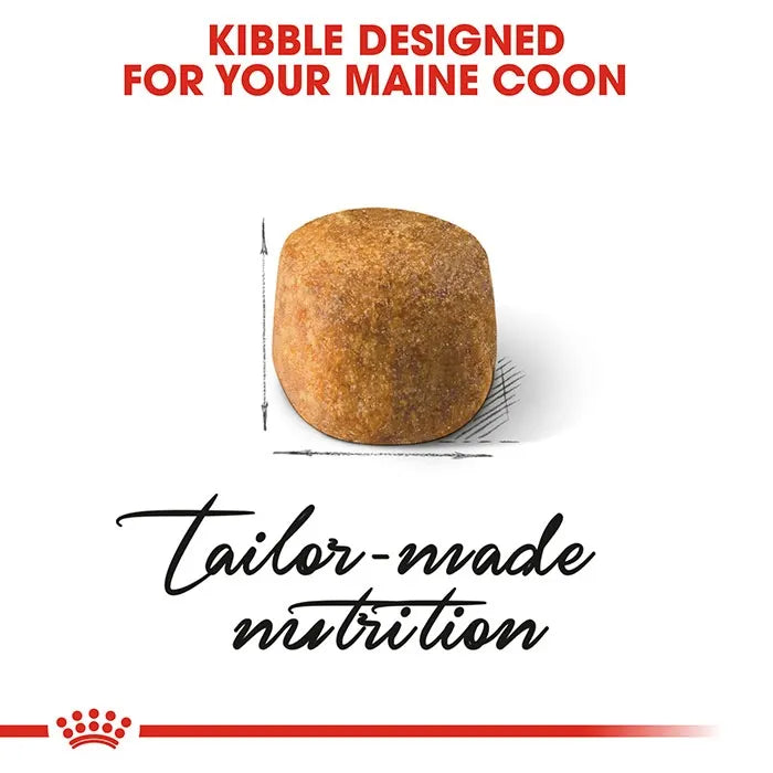 ROYAL CANIN MaineCoon Adult Dry Cat Food kibble size and shape