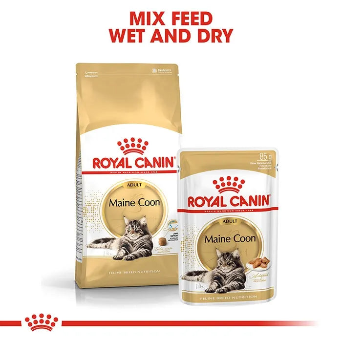 ROYAL CANIN MaineCoon Adult Dry Cat Food mix feed wet and dry food