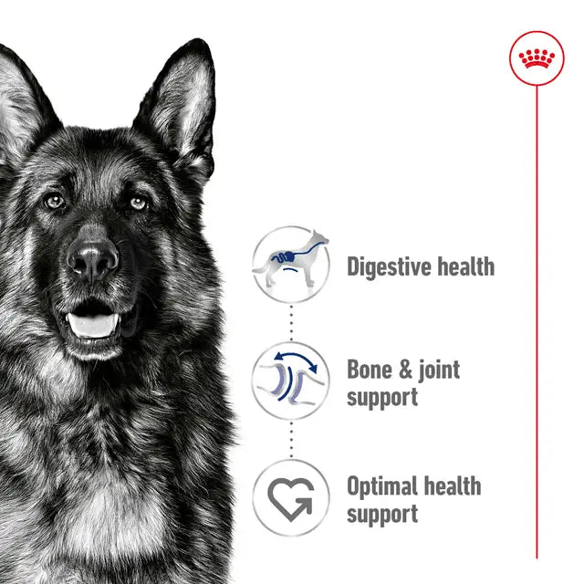 ROYAL CANIN Maxi Large Breed Adult Dry Dog Food features