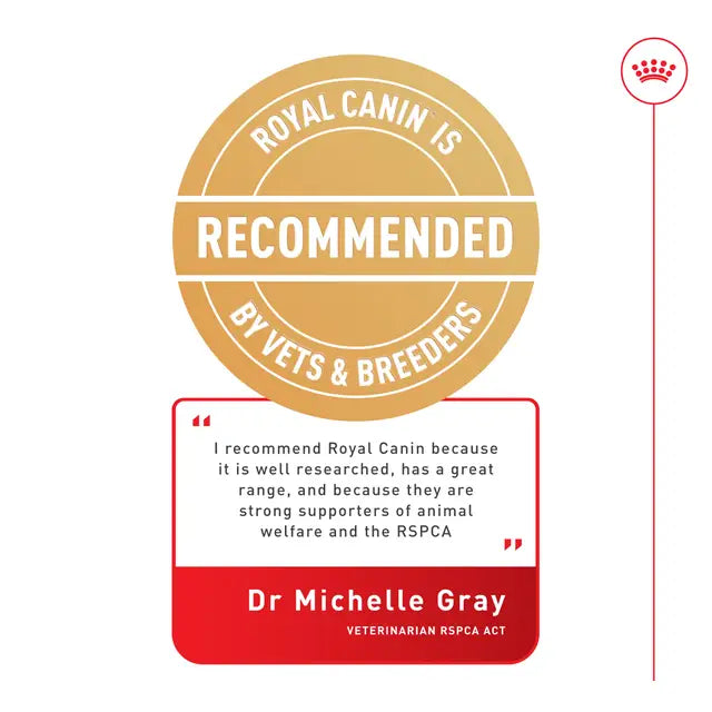 ROYAL CANIN Maxi Large Breed Adult Dry Dog Food vet recommended