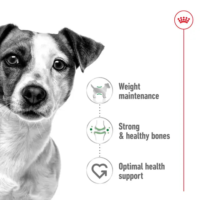 ROYAL CANIN Mini Adult Dry Dog Food features