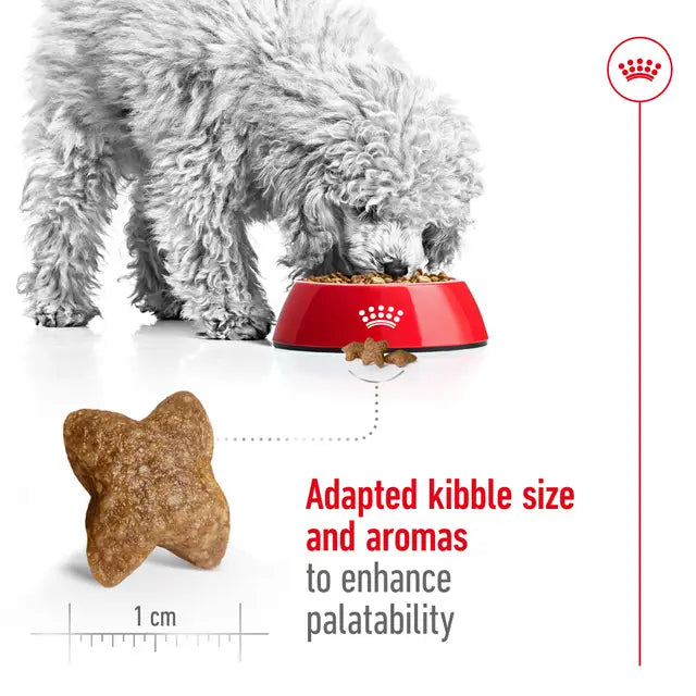 ROYAL CANIN Mini Adult Dry Dog Food kibble size
