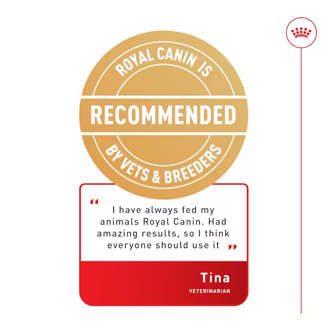 ROYAL CANIN Mini Adult Dry Dog Food vet recommended