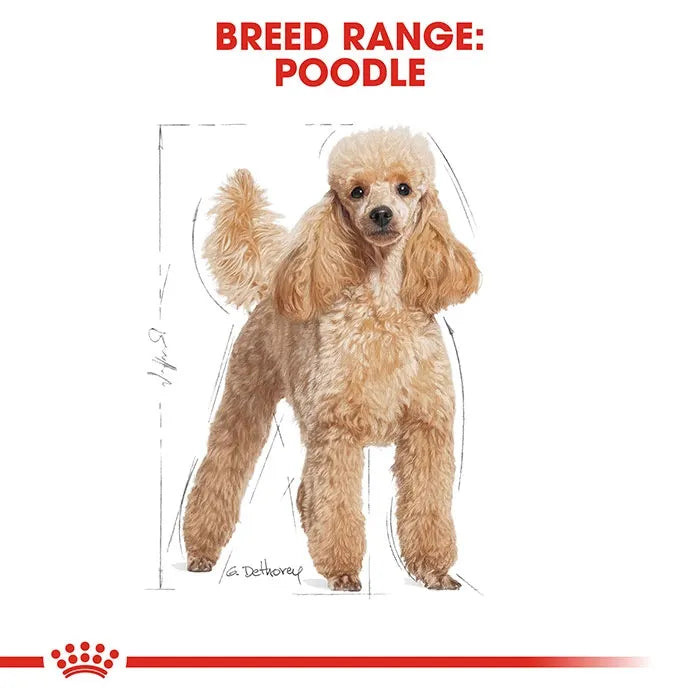 ROYAL CANIN Poodle Adult Dry Dog Food 7.5KG_1