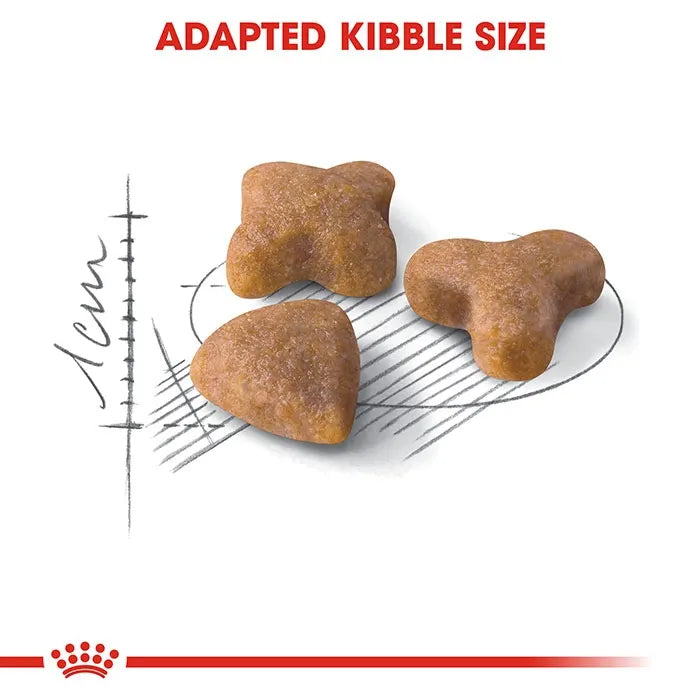 ROYAL CANIN Sensible Dry Cat Food 4KG kibble size