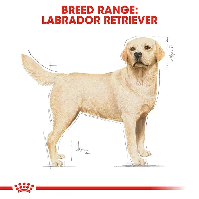 ROYAL CANIN Labrador Retriever Adult Dry Dog Food 12KG_1