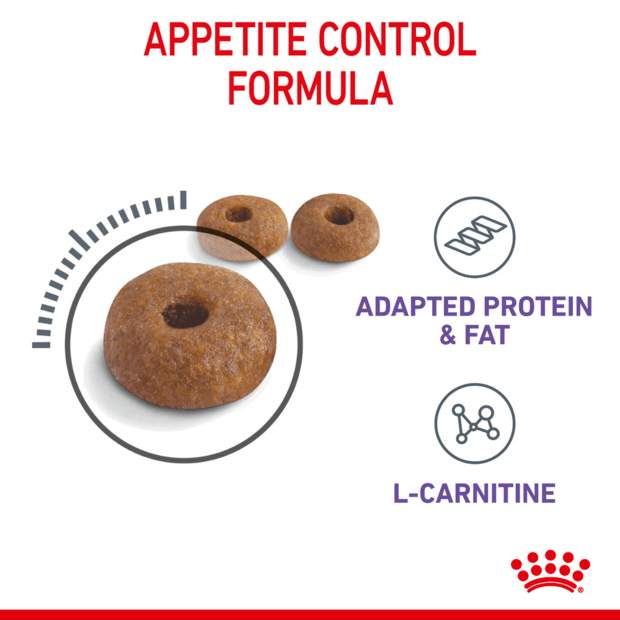 Royal Canin Appetite Control Dry Cat Food 3.5KG kibble size and features