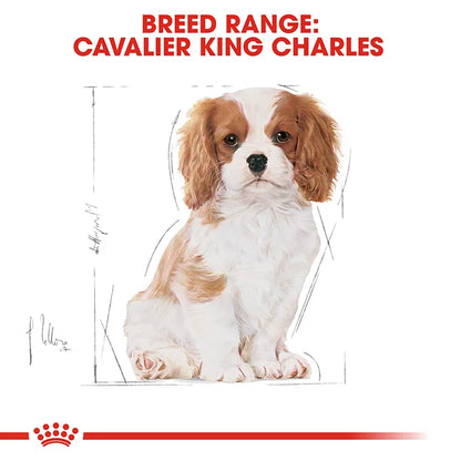 Royal Canin Cavalier King Charles Puppy Dry Dog Food 1.5KG_5