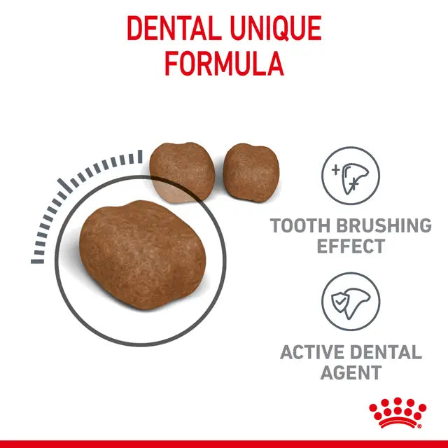 Royal Canin Dental Care Adult Dry Cat Food dental unique formula and kibbles