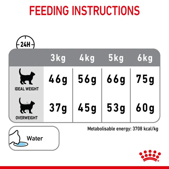Royal Canin Dental Care Adult Dry Cat Food feeding guide