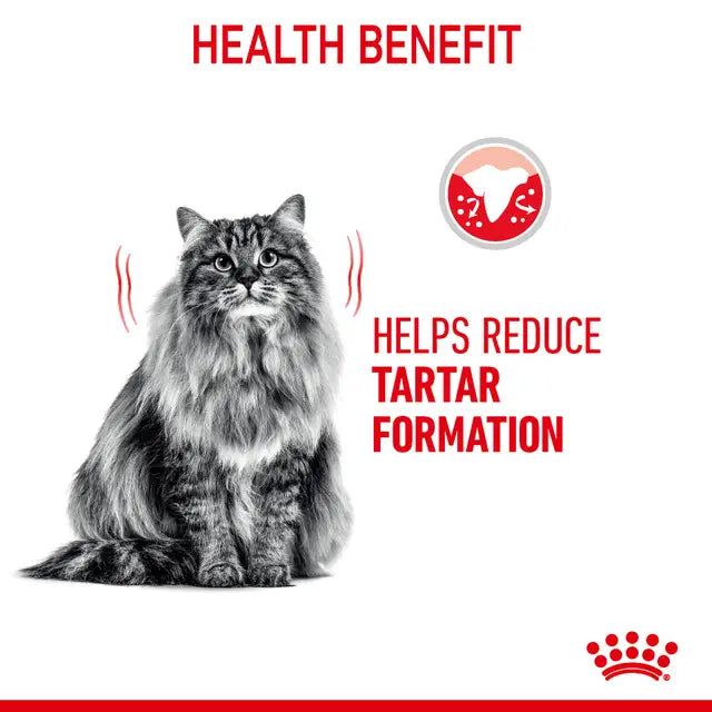 Royal Canin Dental Care Adult Dry Cat Food health benefit helps reduce tartar formation