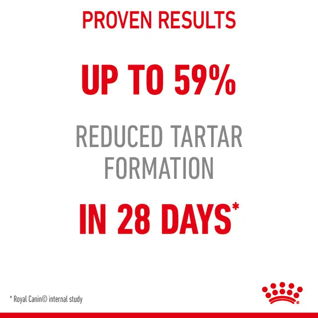 Advertisement for Royal Canin dental care dry cat food with text about proven results and reduced tartar formation.