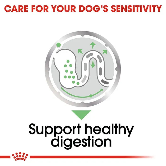 Royal Canin Dog Digestive Care Loaf Wet Food 85Gx12_1