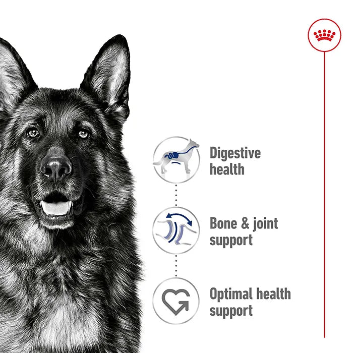 Royal Canin Loaf Maxi Adult Wet Dog Food benefits