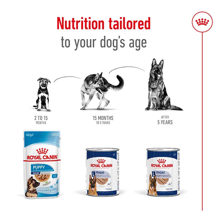 Royal Canin Loaf Maxi Adult Wet Dog Food nutrition tailored