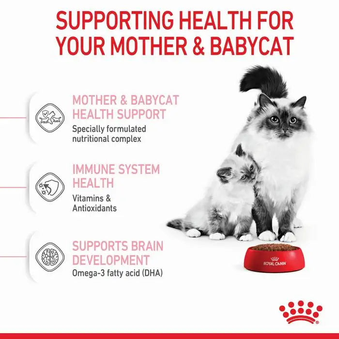 Royal Canin Mother And Babycat Dry Cat Food 10KG_1