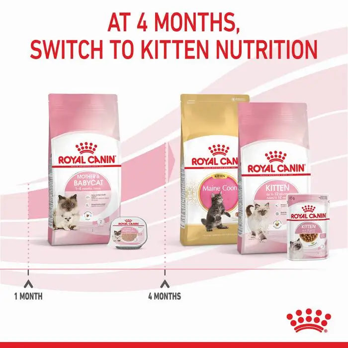 Royal Canin Mother And Babycat Dry Cat Food 10KG——7