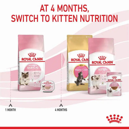 Royal Canin Mother And Babycat Dry Cat Food 10KG——7