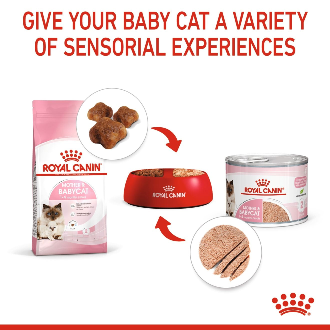 Royal Canin Mother & Babycat Mousse Wet Cat Food mix with dry food