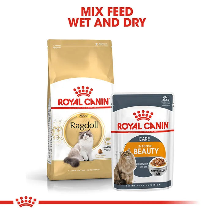 Royal Canin Ragdoll Adult Dry Cat Food 2KG_4