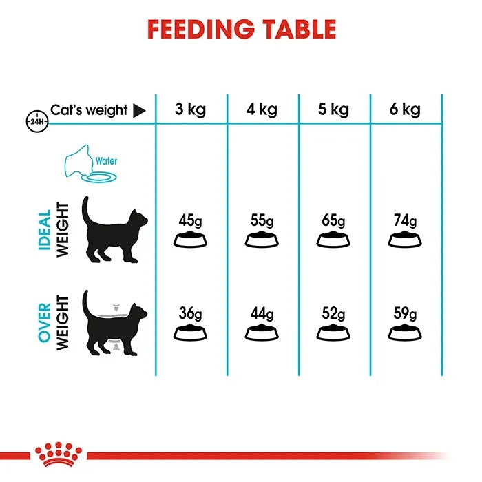 Royal Canin Urinary Care Dry Cat Food 4KG feeding guide
