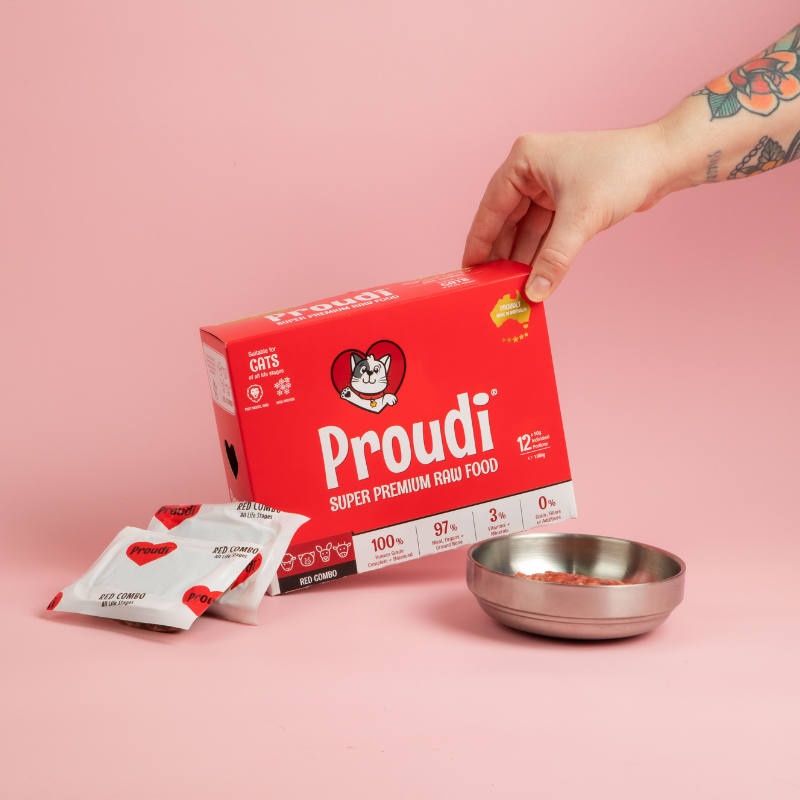 Proudi Red Combo raw cat food box with portion packs and a bowl