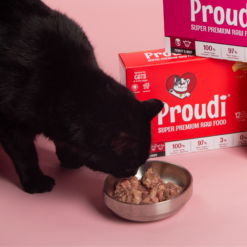 Black cat eating Proudi Red Combo raw cat food from a bowl
