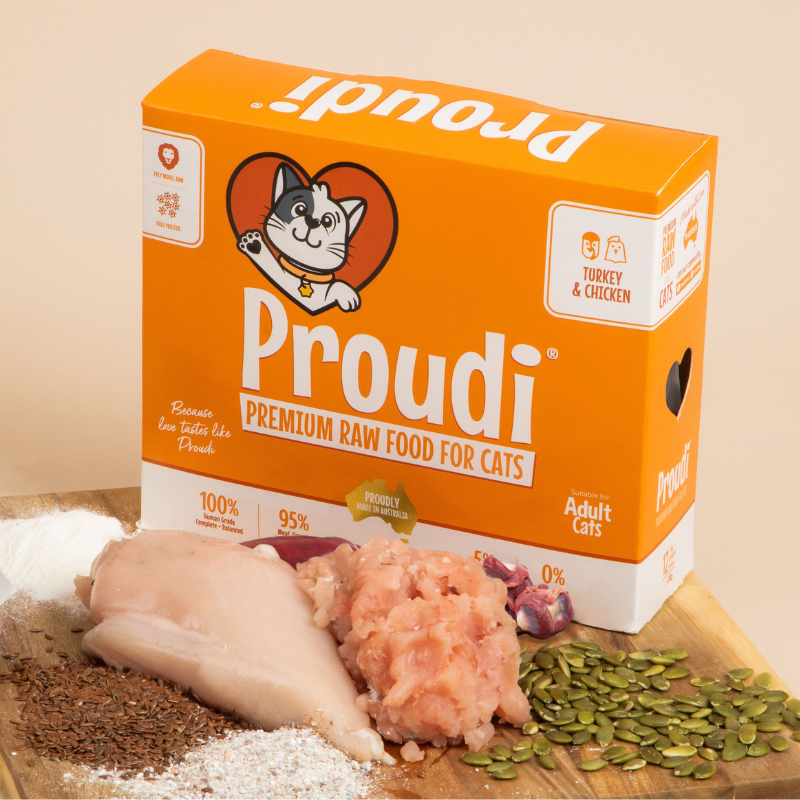 Proudi Turkey & Chicken raw cat food box with raw turkey, chicken and seeds