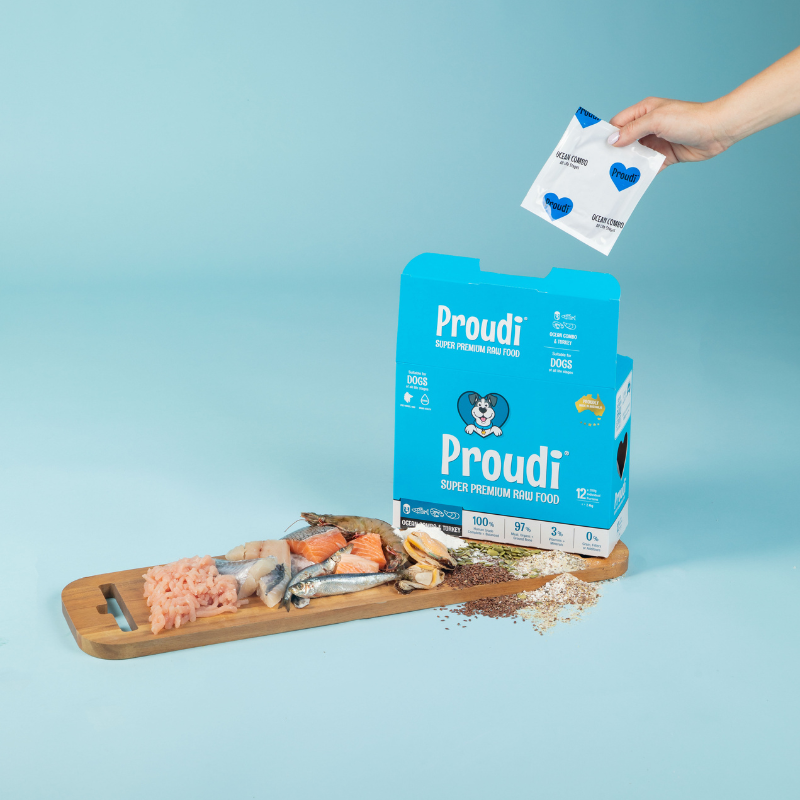 Proudi Ocean Combo & Turkey raw dog food box with a portion pack and raw fish ingredients