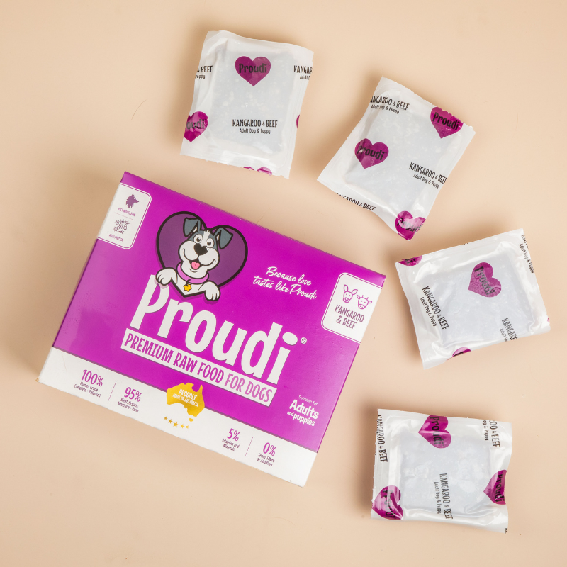Proudi Kangaroo & Beef raw dog food box with individual portion packs