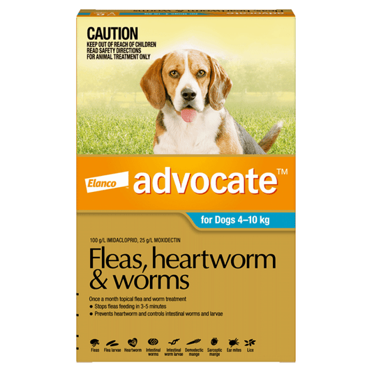 Advocate Flea & Worming Medium Dog Aqua 6 Pack