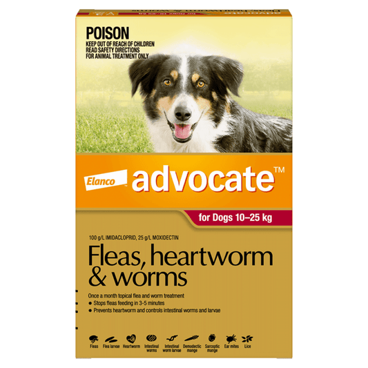 Advocate Flea & Worming Large Dog Red 6 PACK