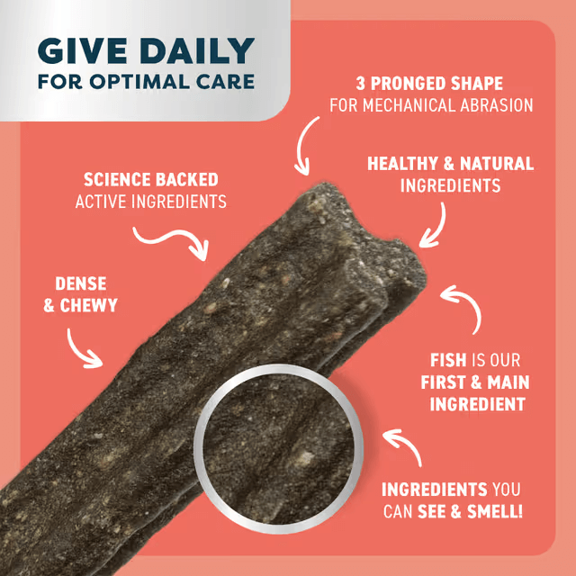 Bell & Bone Dental Stick Salmon, Mint, and Charcoal Dog Treat features