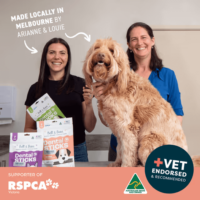 Bell & Bone Dental Stick Salmon, Mint, and Charcoal Dog Treat vet recommended