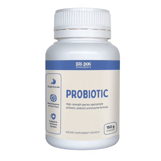 BIG DOG pet food Probiotics For Dogs