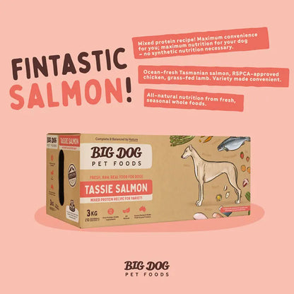 big dog tassie salmon raw dog food 3kg features