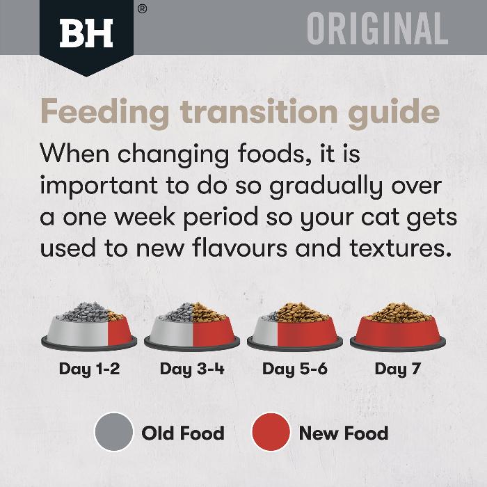 Black Hawk Chicken and Kangaroo Adult Dry Cat Food