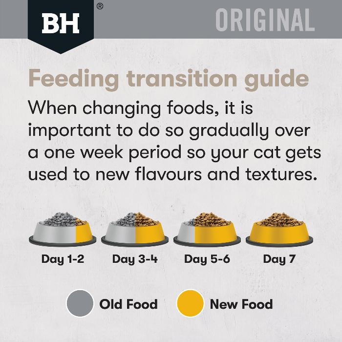 Black Hawk Chicken Dry Cat Food