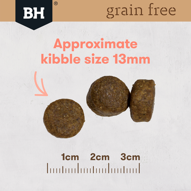 BLACK HAWK Grain Free Dry Dog Food Salmon 15KG kibble size