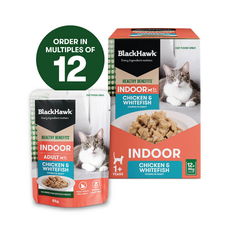 Packaging of Black Hawk Healthy Benefits Chicken Whitefish Gravy Wet Indoor Adult Cat Food 85gx12 pouches featuring an image of a cat and the product details.