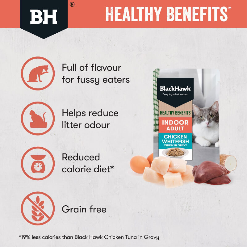black hawk healthy benefits indoor adult wet cat food chicken and whitefish features