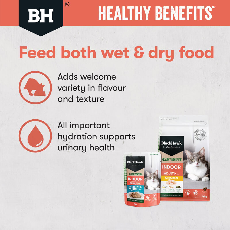 Black Hawk Healthy Benefits Chicken Whitefish Gravy Wet Indoor Adult Cat Food feed both wet and dry food