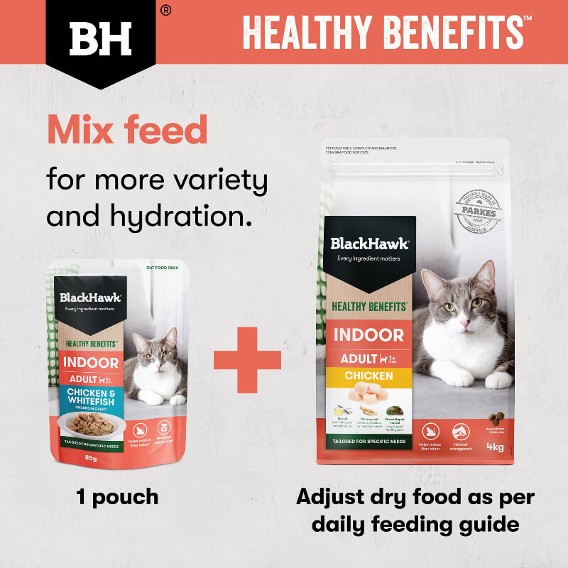 Black Hawk Healthy Benefits Chicken Whitefish Gravy Wet Indoor Adult Cat Food mix with dry cat food