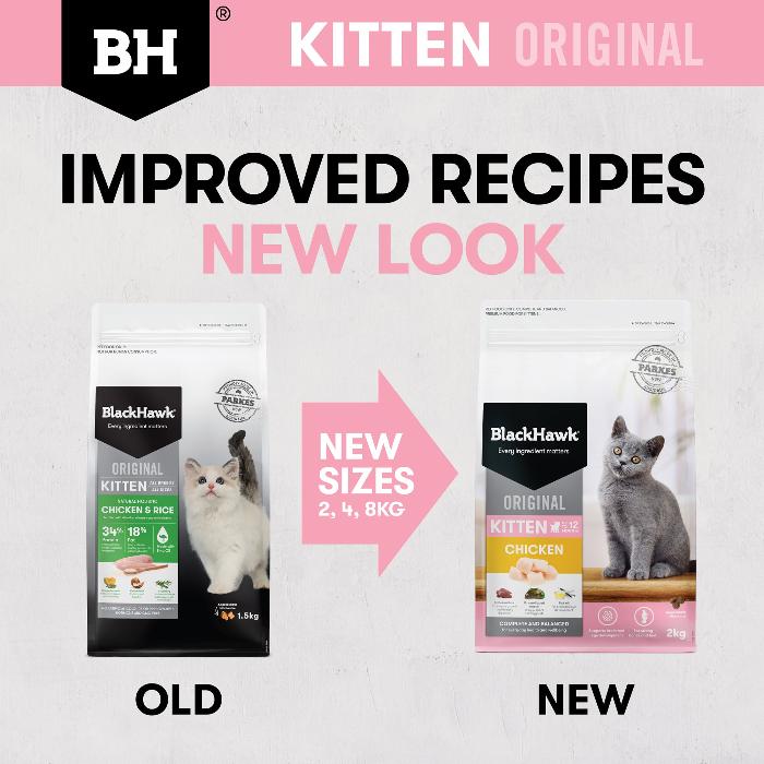 black hawk kitten dry cat food improved recipes new look