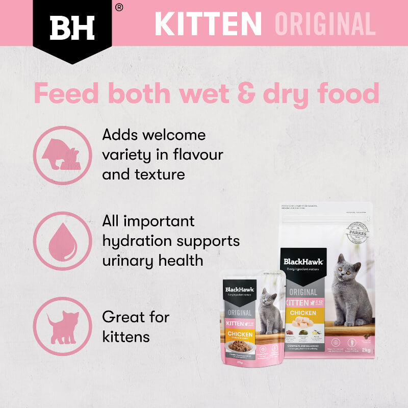 Black Hawk Chicken Kitten Gravy Wet Cat Food benefits of feed both wet and dry food