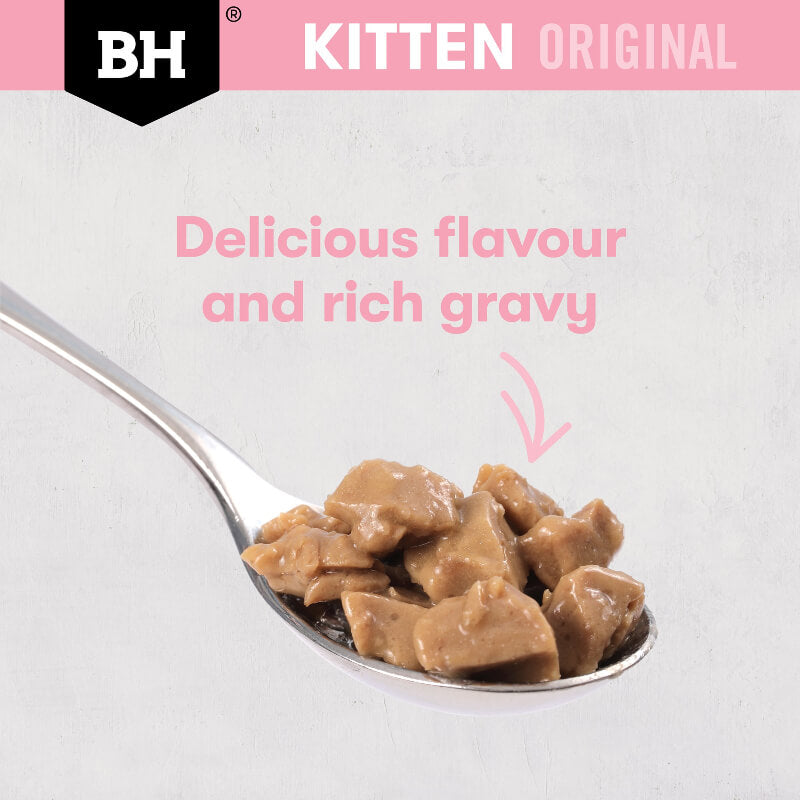 Black Hawk Chicken Kitten Gravy Wet Cat Food display on a spoon