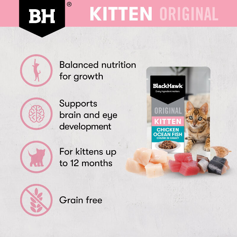 Black Hawk Ocean Fish Kitten Gravy Wet Cat Food features